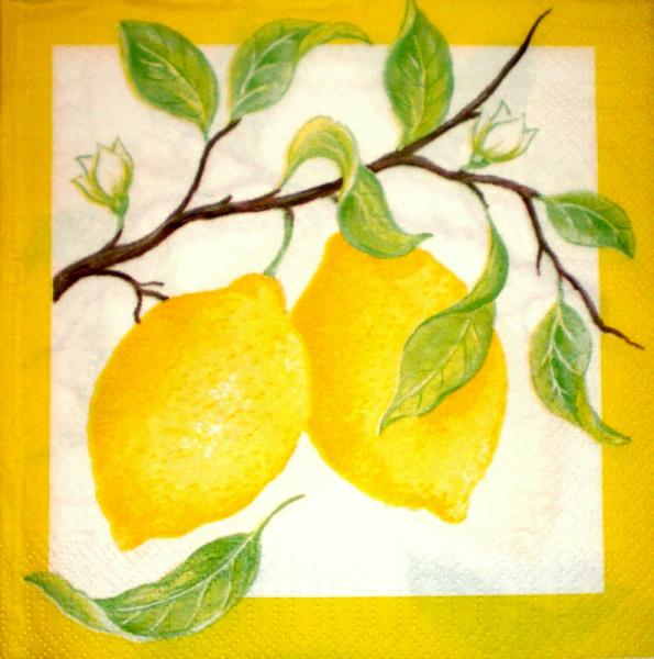 004 Zitronen, Orangen - 3-lagig - Duni - CS